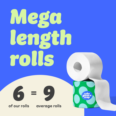 Classic Soft Toilet Tissue 6 Mega Rolls