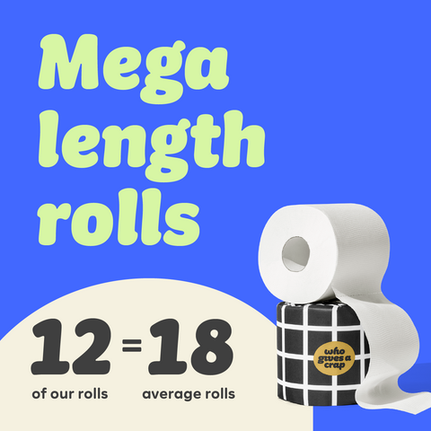 Extra Soft Toilet Tissue 12 Mega Rolls