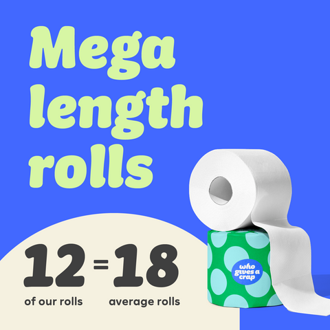 Classic Soft Toilet Tissue 12 Mega Rolls